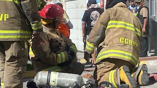Arequipa: Bomberos y vecinos rescatan a perro atrapado en incendio en edificio (VIDEO)