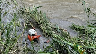 Hallan restos óseos atrapados en un árbol del río Huallaga en sector La Rinconada
