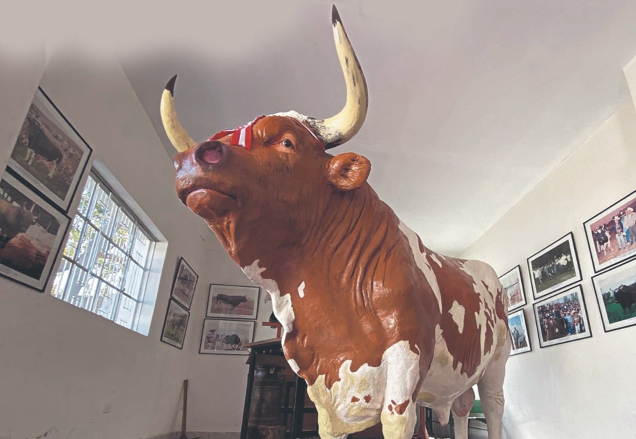 Menelik cuenta con su propio museo en Arequipa donde muestran su historia. (Foto: GEC)