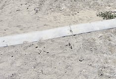 Piura: Director de colegio exige desinfección y fumigación tras colapso de red de desagües