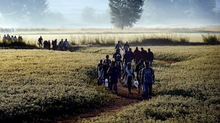 ​Croacia planea llevar a refugiados a la frontera con Hungría
