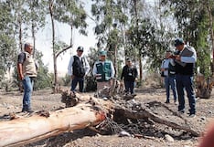 Tacna: Ministerio Público constata el estado de abandono del Bosque Municipal