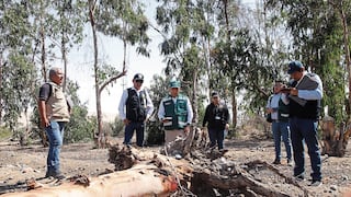 Tacna: Ministerio Público constata el estado de abandono del Bosque Municipal