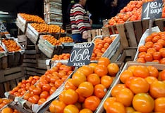 Ica lidera la producción y exportación de mandarinas en el Perú