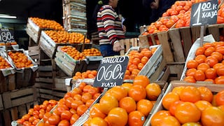 Ica lidera la producción y exportación de mandarinas en el Perú