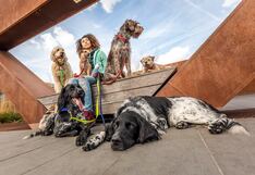 Día del perro sin raza: Esterilización y salud preventiva, claves para combatir el abandono de mascotas