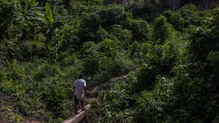 Adolescentes extraviados en Río Tambo sobreviven en el bosque y vuelven a casa