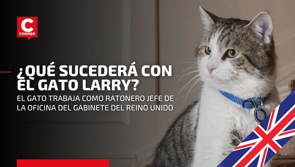 Larry, el gato funcionario que trabaja para el gobierno del Reino Unido