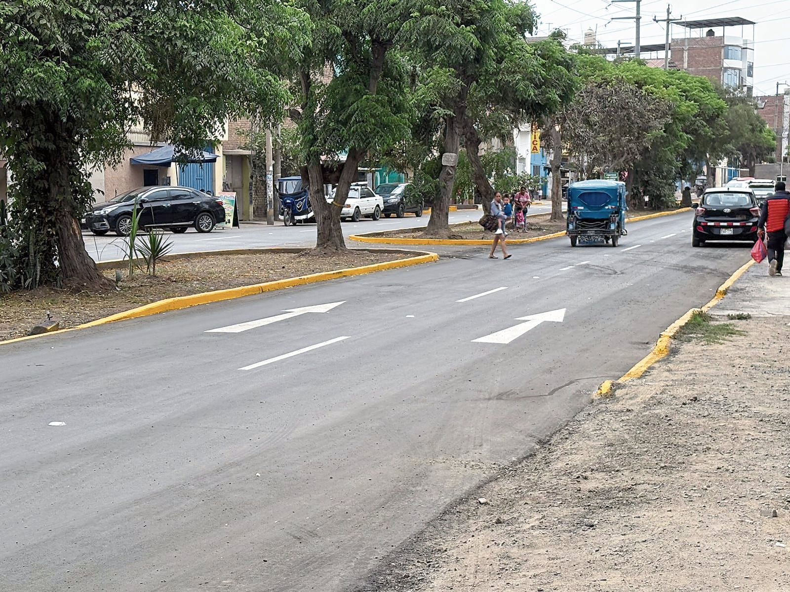 Consejero Robert de la Cruz solicitó que la Contraloría y la Fiscalía revisen trabajos que se ejecutan en la avenida Pesqueda.