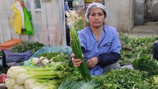 Cebolla china no se vende en mercados de Huancayo por alerta de uso de agroquímicos
