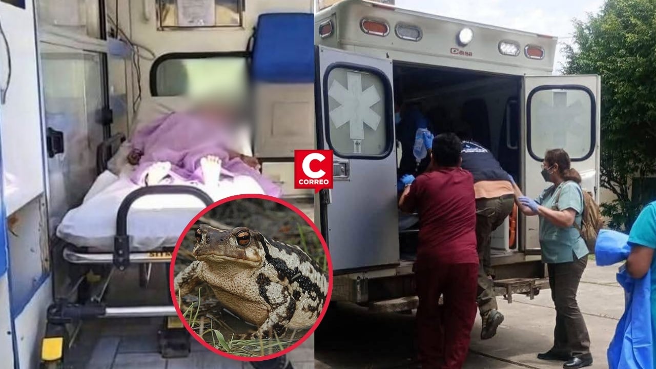 Cusco: Dos menores mueren intoxicados tras comer carne de sapo en comunidad nativa de Alto Parijari. Composición: Diario Correo.