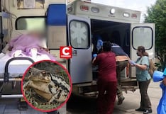 Cusco: Dos menores mueren intoxicados tras comer carne de sapo en comunidad nativa de Alto Parijari