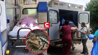 Cusco: Dos menores mueren intoxicados tras comer carne de sapo en comunidad nativa de Alto Parijari