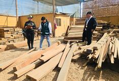 Ica: Fiscalía realiza operativo contra la tala ilegal en distrito de Subtanjalla