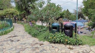 Cerrito de la Libertad en Huancayo en total abandono