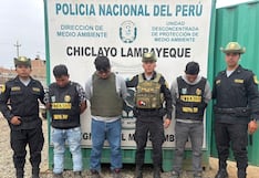Lambayeque: desmantelan minería ilegal en distrito de Jayanca