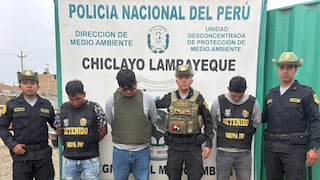 Lambayeque: desmantelan minería ilegal en distrito de Jayanca