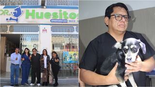 Ica: campaña gratuita de esterilización para perros y gatos en estado de abandono