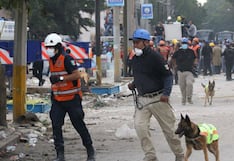 Terremoto en Venezuela: ¿cómo se entrena un perro para encontrar personas bajo los escombros?