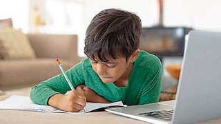 Educación no escolarizada se abre paso en hogares