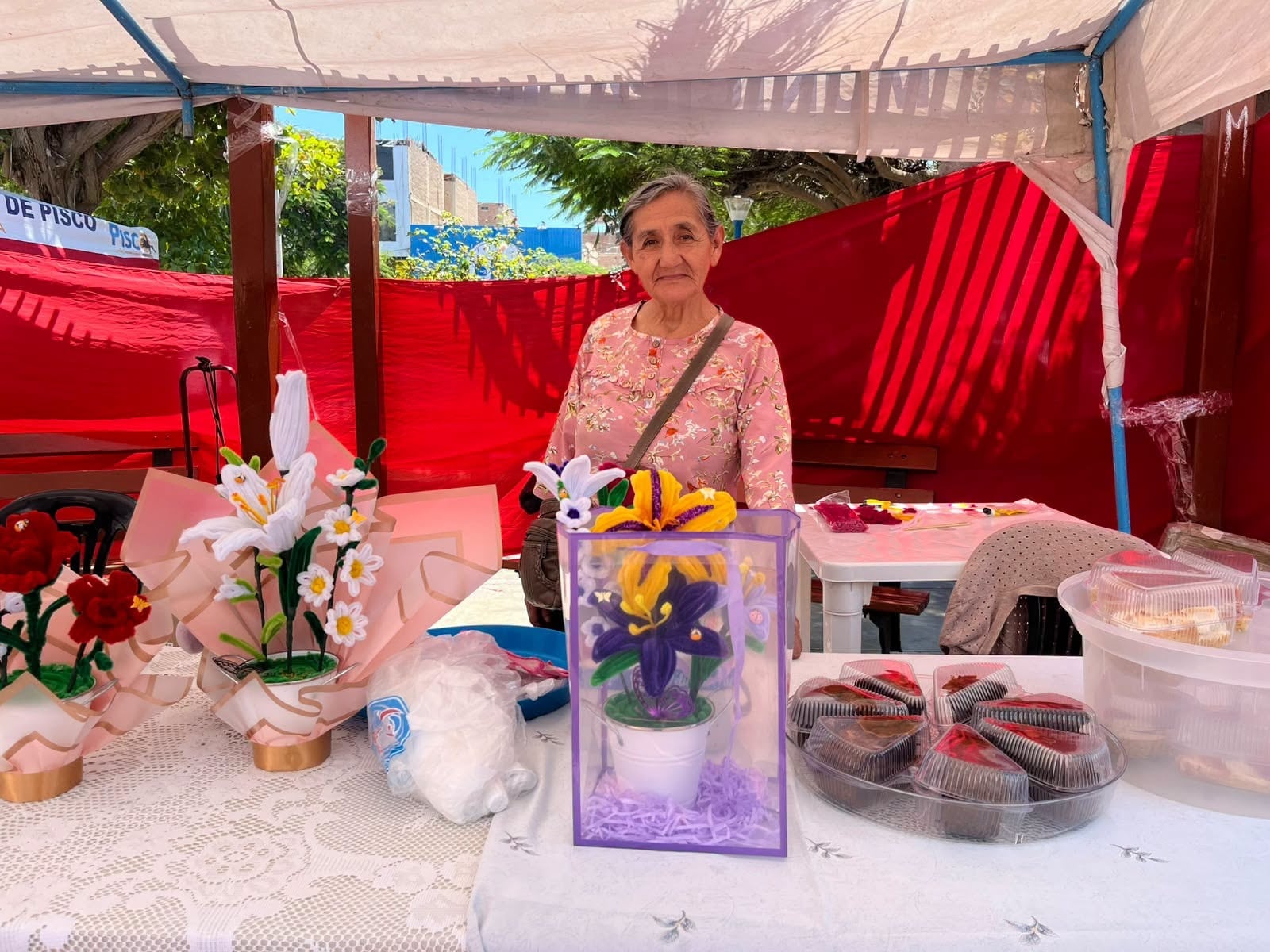 Pisco: Expoferia inclusiva reúne emprendimientos de integrantes de OMAPED en la plazuela Belén