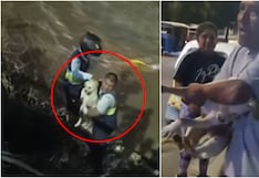 Ica: Serenazgo de Parcona rescata a perro que cayó al río Ica desde el puente Puno