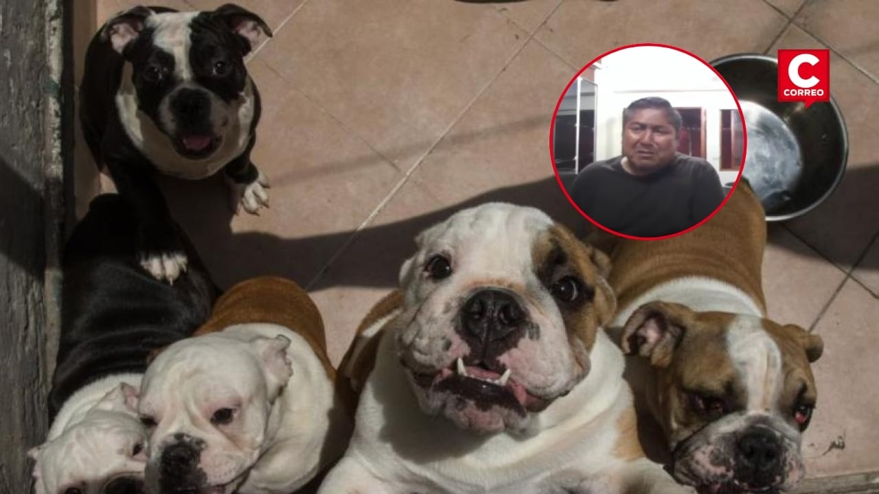 Presunto dueño de criadero clandestino con 48 perros pide disculpas y suplica al juez que no sea "muy estricto"