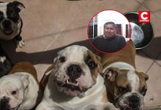 Presunto dueño de criadero clandestino con 48 perros pide disculpas y suplica al juez que no sea “muy estricto”