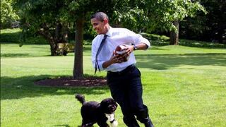 Detienen a un hombre que planeaba secuestrar a un perro de los Obama