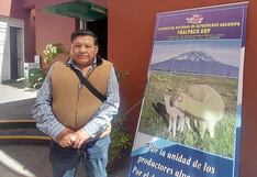 Pocos centros de acopio para alpacas en la región Arequipa