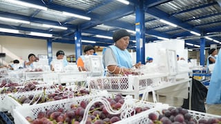 Aranceles: un desafío que impulsa a Ica a crecer en nuevos mercados y a generar más empleos