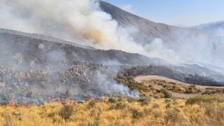 Incendio forestal en Arequipa: Al menos 50 hectáreas afectadas en Chachas (FOTOS)