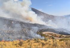 Incendio forestal en Arequipa: Al menos 50 hectáreas afectadas en Chachas (FOTOS)
