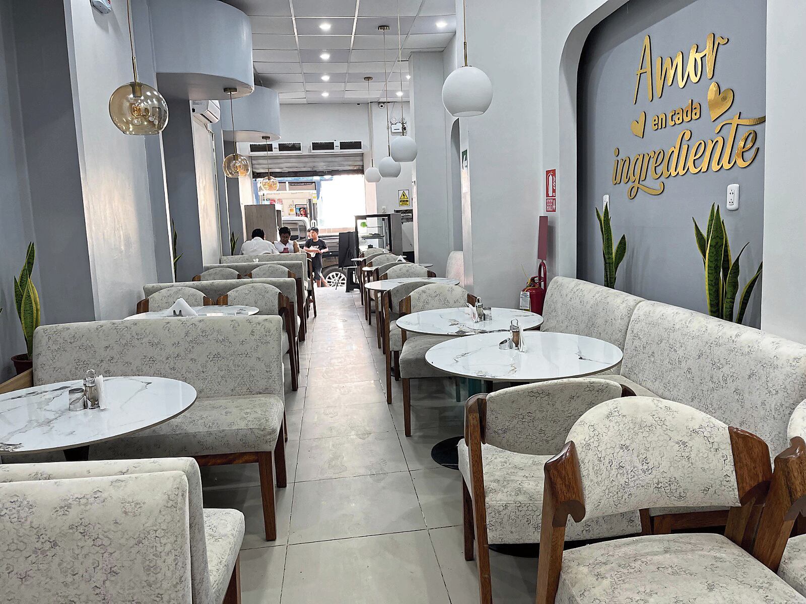 Alzaron con equipo de sonido, parlantes, pantalla led, licuadora, POS para tarjetas de créditos y hasta alimentos de la refrigeradora