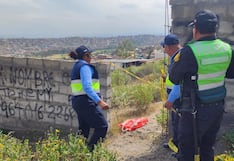 Hallan restos de un feto sin extremidades en Socabaya, Arequipa