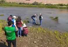 La Libertad: Niños y gestantes con altos niveles de metales pesados