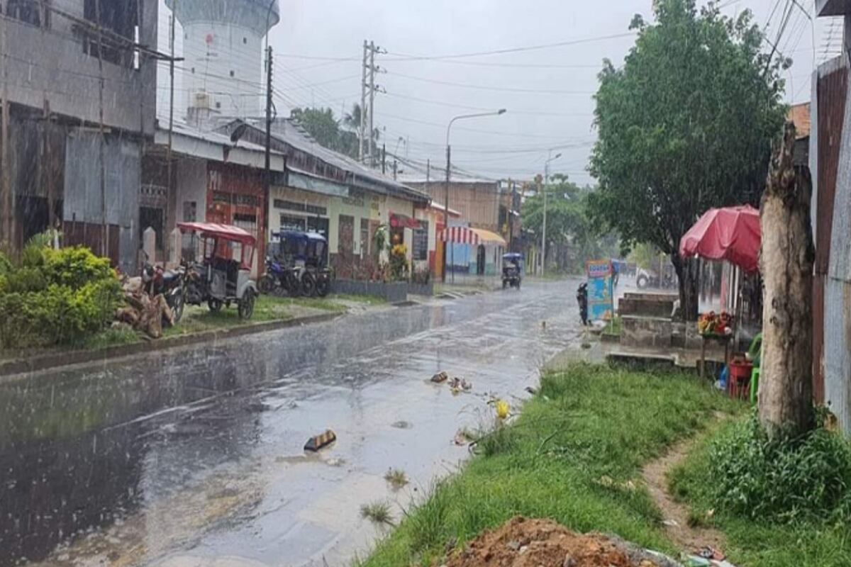 Las fuertes precipitaciones afectarán la selva peruana desde este miércoles 5 hasta el jueves 6 de febrero, con descargas eléctricas y ráfagas de viento que llegarían a 40 km/h. En la sierra, las lluvias de moderada a fuerte intensidad continuarán hasta el viernes 7, acompañadas de granizo y nieve en zonas por encima de los 2800 y 4000 m s. n. m. (Foto: Andina)