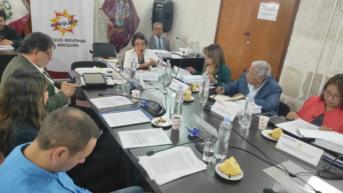 Consejo Regional de Arequipa delegó la responsabilidad al Gobierno Regional para distribuir equipos del hospital Maritza Campos. (Foto: Nelly Hancco/@photo.gec)