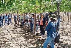 Perjuicio de S/ 760 mil en Autodema por contratación irregular de profesionales