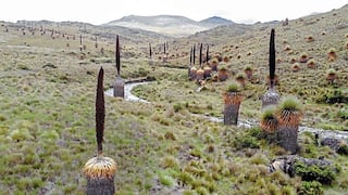 Calipuy: Gerencia del Ambiente debe promover ecoturismo