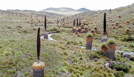 Calipuy: Gerencia del Ambiente debe promover ecoturismo