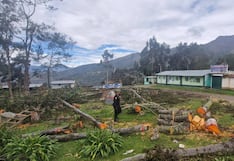 Fiscalía Ambiental interviene por tala de árboles en Shishmay