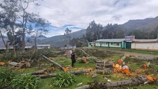 Fiscalía Ambiental interviene por tala de árboles en Shishmay