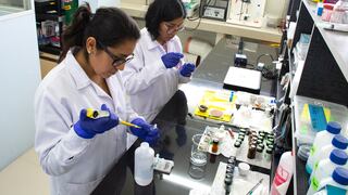 Concytec lanza concurso para mujeres científicas en Lima y Callao