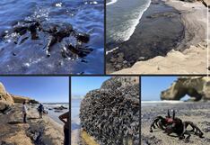 Implementan acciones frente a derrame de petróleo en playa Las Capullanas