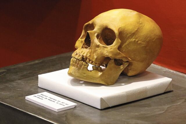 Restos fueron hallados en Chorrillos y San Juan de Lurigancho.