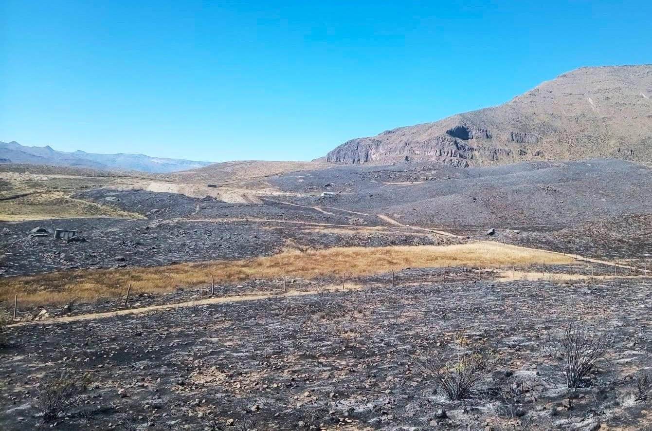 Incendio afecta pastizales y zonas de cultivos en la zona de Pinchollo, en Cabanaconde (Foto: Difusión)