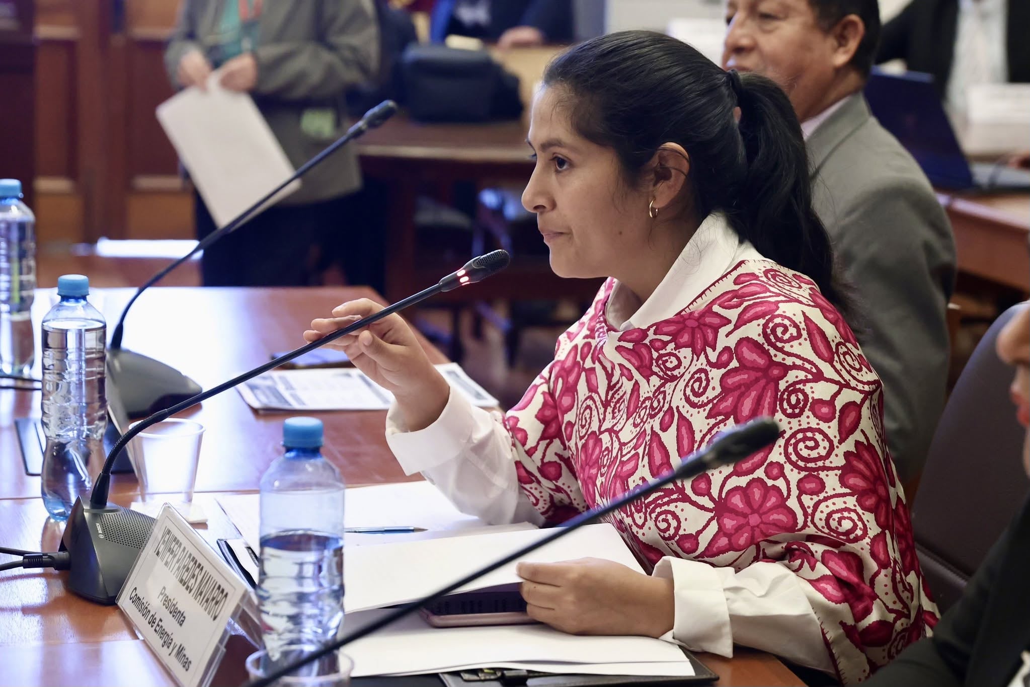Presidenta de la Comisión de Energía y Minas, Yenifer Paredes.