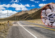 Investigadores peruanos convierten conchas de abanico en asfalto para mejorar carreteras