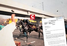Poder Judicial prohibe cautelarmente a la PNP el uso de caballos para controlar multitudes